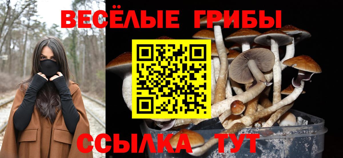 Псилоцибиновые грибы мухоморы Строитель