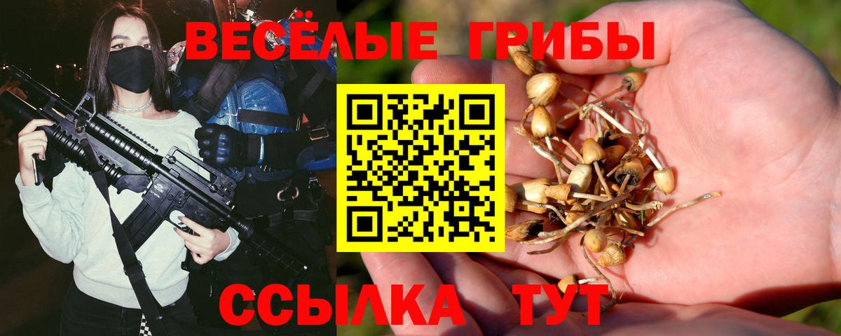 Строитель  Галлюциногенные грибы Magic Shrooms  Вход с VPN 