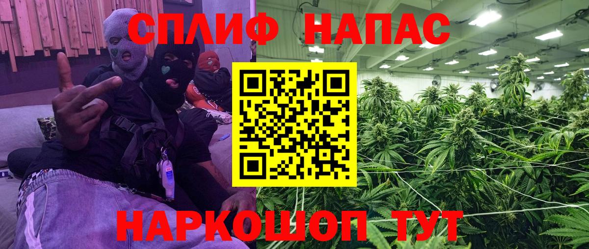 Конопля Bruce Banner  Бошки Шишки Bruce Banner  Каннабис индика  Конопля марихуана  Вход с VPN  Строитель 